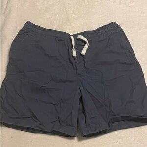 Goodfellow & Co Dark Blue Casual Shorts